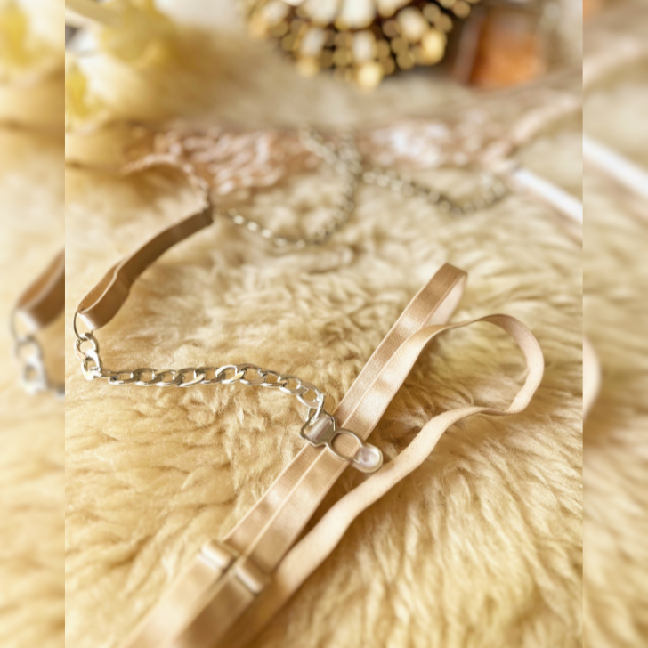 Conjunto Regina