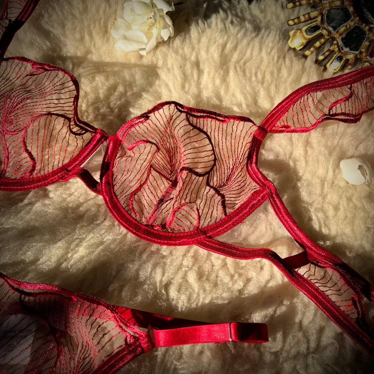 Packshot del conjunto Dora rojo de encaje, vista completa