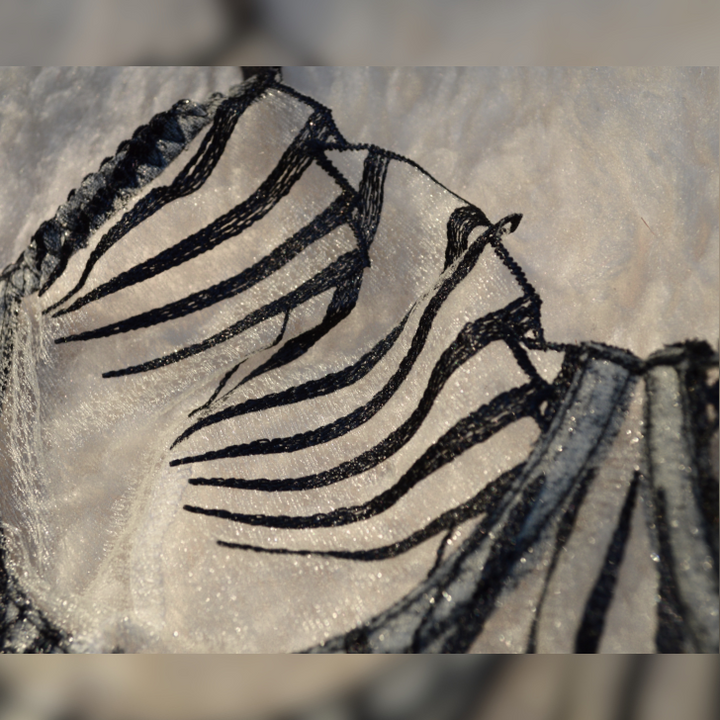 Modelo usando conjunto Inés encaje negro