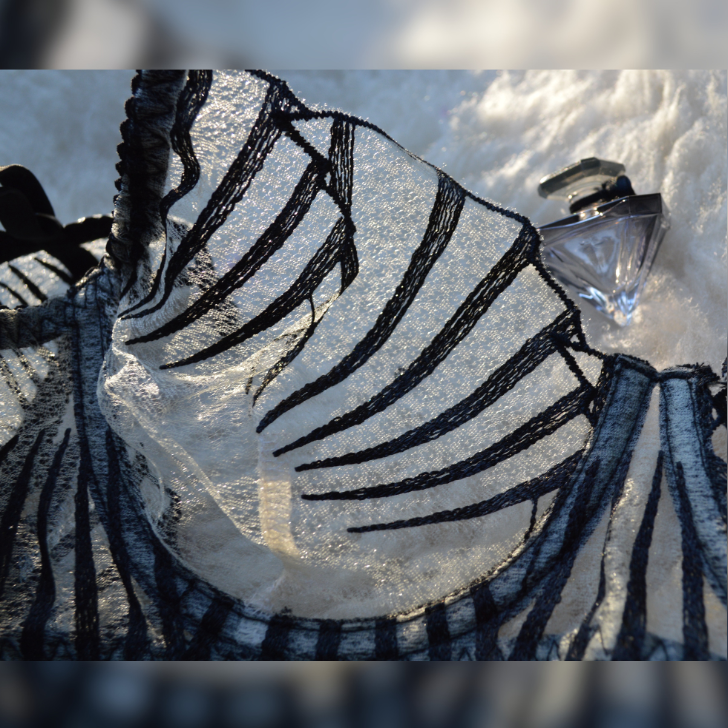 Detalle encaje negro con transparencias Inés