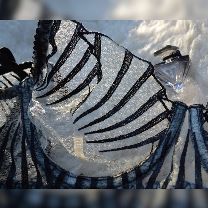 Detalle encaje negro con transparencias Inés