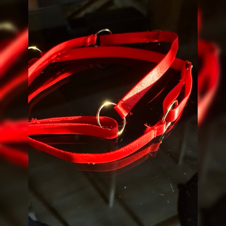 Par de ligas de strap regulable color rojo con argolla, fotografía de producto